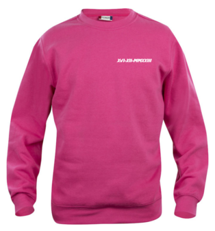 Sweater Romeinse cijfers